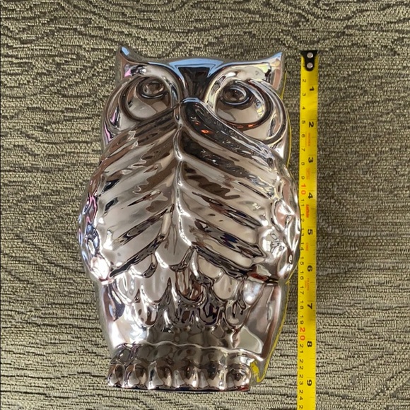 Chrome owl - Picture 5 of 5